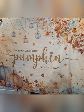 Pumpkin Baby Shower Backdrop - Gold Lettering with PastelWipe able. *Boy*